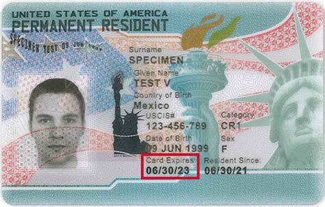 green card category codes|f41 category green card.